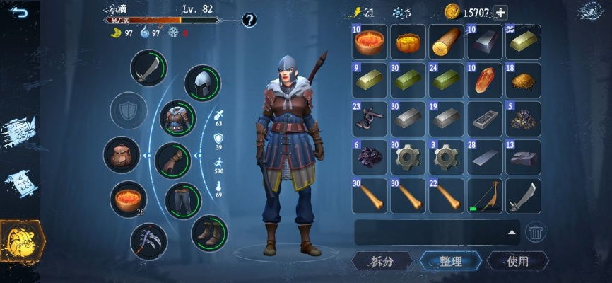 《冰原守卫者长枪守卫攻略：高效打法揭秘》