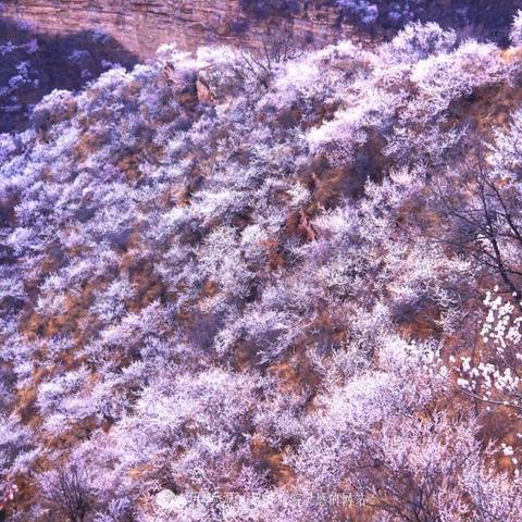 地下城堡3哀嚎峡谷通关秘籍！高效副本攻略分享