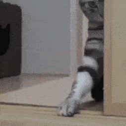 暗杀游戏盘点：热门暗杀游戏推荐，刺激体验不容错过