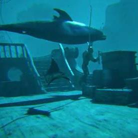 《热门合作游戏盘点：盘点那些好评如潮的多人单机佳作》