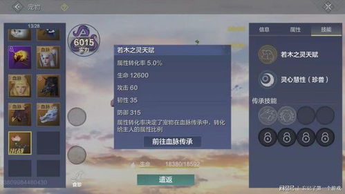 《山海进化录：马腹获取攻略，独家位置揭秘！》