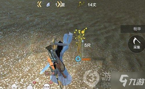 山海进化录：探秘熏华草神秘位置与进化奇观