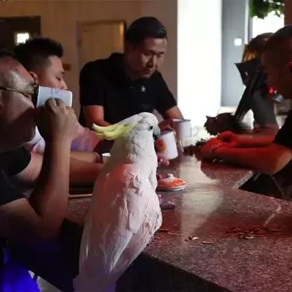 《热门双摇杆射击游戏盘点：不容错过的射击盛宴》