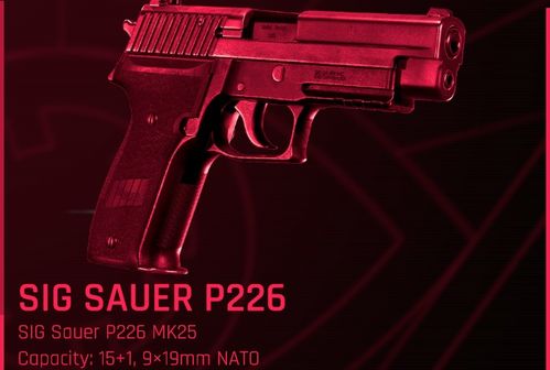 《远光84钢枪攻略：独家技巧深度解析》