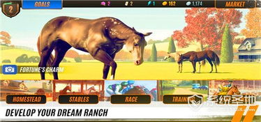 《十大热门马匹游戏盘点：不容错过的马战巅峰》