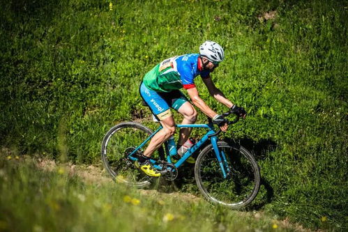 《狂野骑行巅峰！下载量爆棚的越野自行车游戏排行》