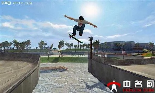 《十大耐玩滑板游戏盘点：玩家必玩滑板盛宴》