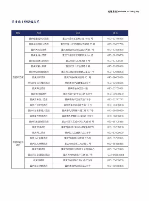 《赏金侦探保单过案秘籍：轻松通关攻略大揭秘》