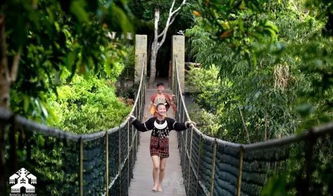 《夏日光遇阳伞性价比揭秘：值不值得入手？》