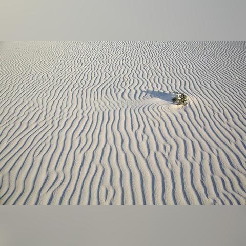 《荒漠沙丘竞速秘境：王牌赛道位置揭秘》