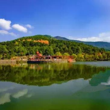 《望月庙竞速秘境：王牌赛道精准导航》