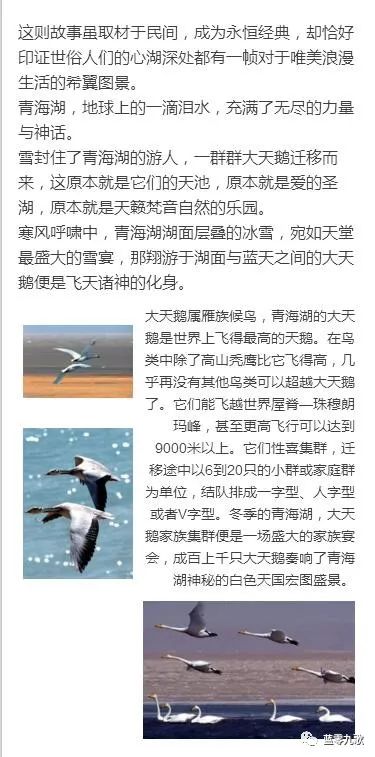 《雪地狂欢！盘点十大必玩雪游戏，冬季必备清单》