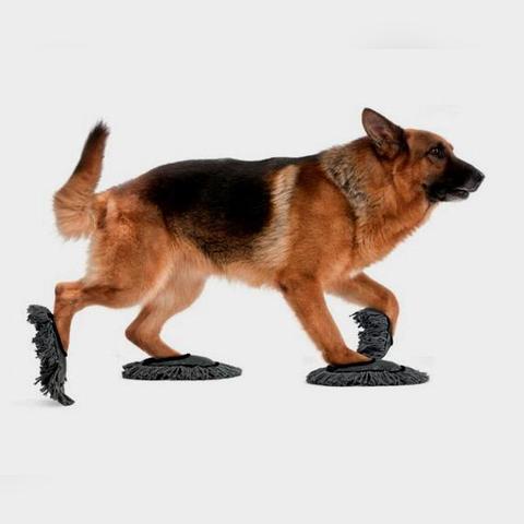 《勇者启程！盘点新手必备强力角色》