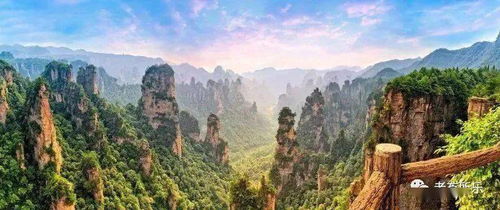 《盘点十大必玩水底游戏：沉浸深海探险之旅》