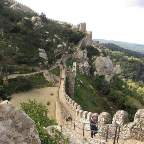 摩尔庄园藤蔓U型灯快速获取攻略，独家秘籍大公开