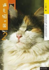 《遇见你的猫高分攻略：速成技巧揭秘》