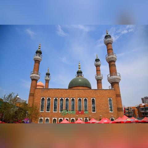 《免费游戏盘点：十大经典之作，不容错过的免费游戏推荐》
《十大热门免费游戏大揭秘，免费也能玩到经典！》
《免费游戏精选：盘点十大经典游戏，让你一次玩个够》
《免费游戏爱好者必看：十大经典免费游戏推荐》
《免费游戏狂热者福音！十大经典免费游戏推荐榜》