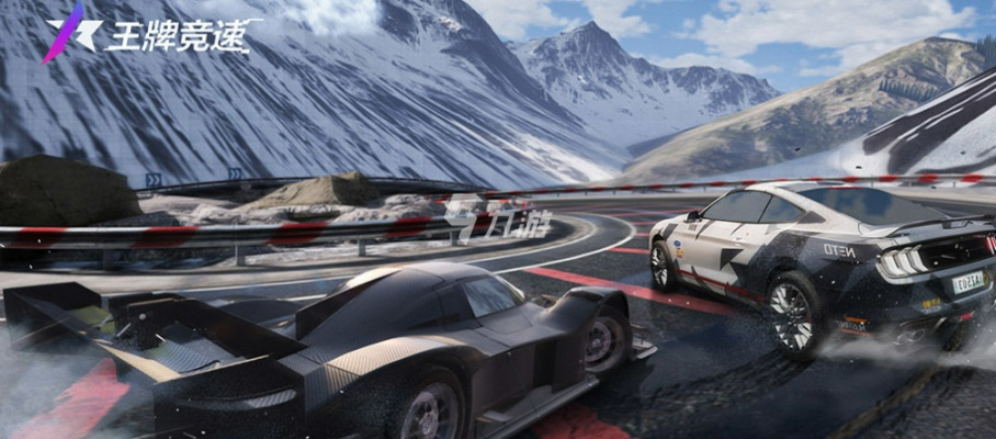 《王牌竞速双人拉力赛攻略：轻松上手技巧揭秘》