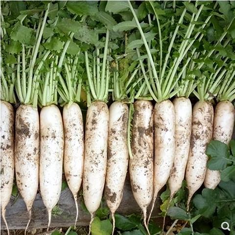 幻塔白玉海鲜煲攻略：轻松获取制作秘籍