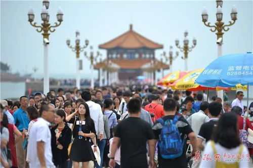 1. 热门排行！人气爆棚的动态旁白游戏TOP10
2. 动态旁白游戏人气王！盘点十大热门排行
3. 玩家最爱！动态旁白游戏人气排行榜前十揭晓
4. 动态旁白游戏人气巅峰！十大热门榜单大揭秘
5. 人气飙升！动态旁白游戏排行榜前十必玩
6. 热门动态旁白游戏盘点！人气排行TOP10推荐
7. 动态旁白游戏人气狂飙！十大热门排行抢先看
8. 玩家热议！动态旁白游戏人气排行榜前十曝光
9. 动态旁白游戏人气之选！十大热门排行推荐
10. 人气炸裂！动态旁白游戏排行榜前十必玩清单