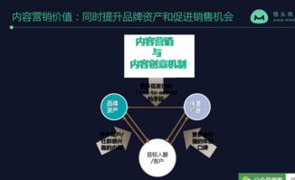 伊甸园资源分配攻略：高效策略揭秘