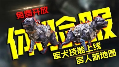 《手游使命召唤：军犬召唤技巧深度解析》
