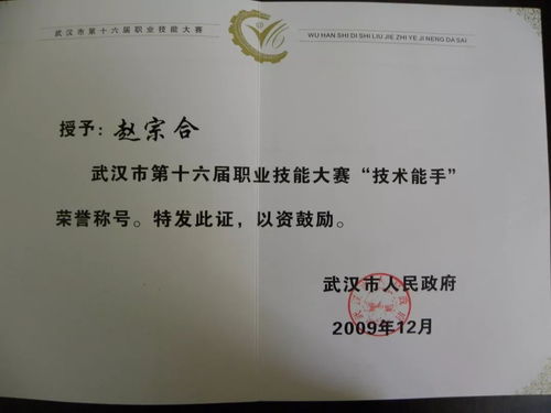 纳罗迪亚许可证：解锁未来人生的关键，如何轻松获取？