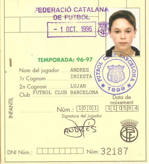 纳罗迪亚许可证：解锁未来人生的关键，如何轻松获取？