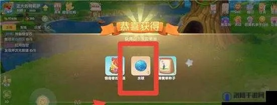 摩尔庄园手游水弹攻略：快速获取与使用技巧