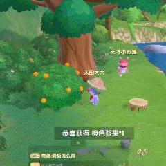 摩尔庄园手游丛林探险攻略：深度揭秘探险技巧