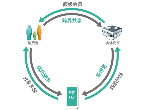 《少前云图菲涅尔人形培养攻略：高效提升技巧揭秘》