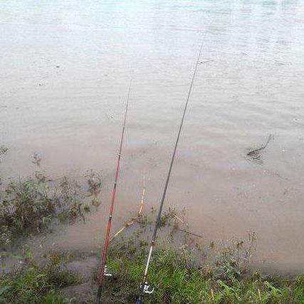 钓鱼游戏盘点：人气爆棚的十大热门钓游推荐