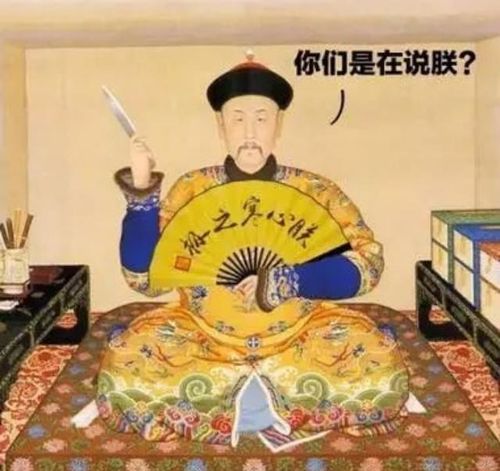 深宫偶遇皇上受阻？独家攻略教你巧妙应对