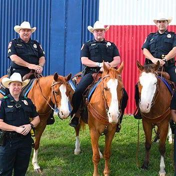 《轻松解锁赏金侦探资格！独家攻略揭秘》