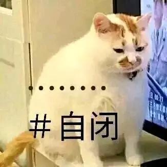 篮球经理新手逆袭攻略：15联霸主之路揭秘