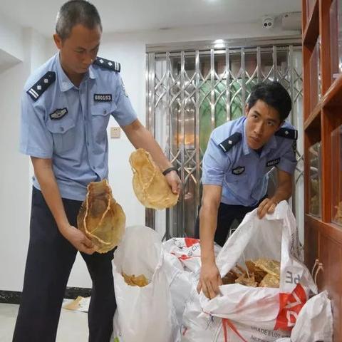 闯关游戏盘点：十大热门必玩排行榜揭晓