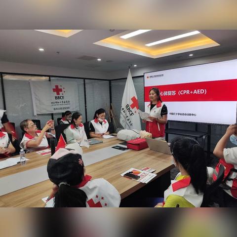 极光公主复苏阵容搭配攻略，打造无敌战队