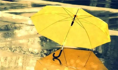 《光遇雨伞获取攻略：黄色伞的秘密》