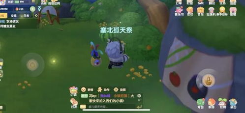 摩尔庄园手游虫灾通关攻略：轻松应对虫灾挑战