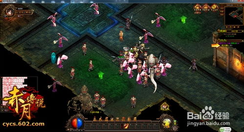 《十大选择取向游戏盘点：不容错过的沉浸体验》