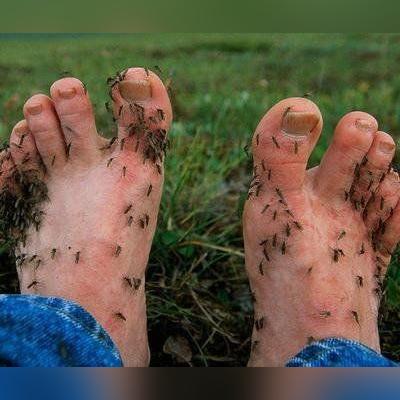 《热门永久死亡游戏盘点：下载狂潮中的精选推荐》