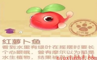 摩尔庄园手游红萝卜鱼高效钓法揭秘！