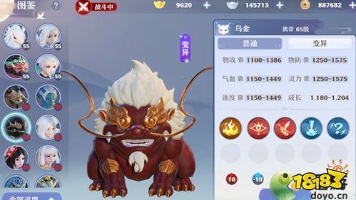 梦幻新诛仙龙将军培养攻略：高效提升方法揭秘