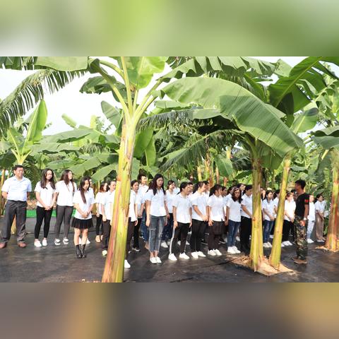 热力推荐！盘点基地建设游戏排行榜，热门基地建设游戏大盘点