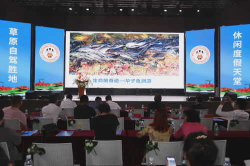 钓鱼游戏盘点：十大热门必玩游戏推荐