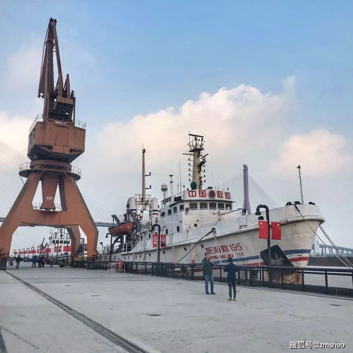 《2024年度必玩回合制策略游戏盘点》