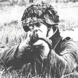 《狙击手游戏巅峰之作：揭秘十大必玩狙击游戏排行》