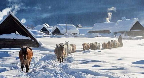 《冬日狂欢！盘点最火热的雪地游戏排行》