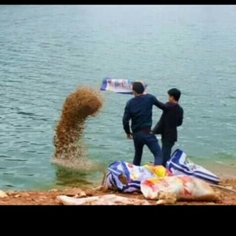 钓鱼游戏盘点：热门精选，这些游戏让你乐在其中