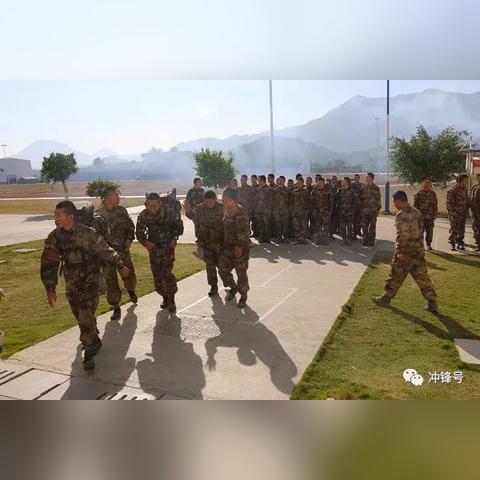 《百分之一新手队攻略：轻松过渡期必备阵容》